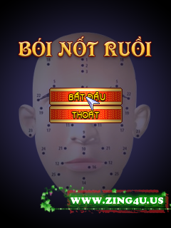 Boinotruoi2